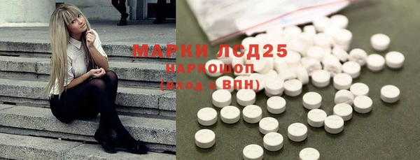 прущий лед Горняк