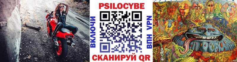 omg зеркало  Мончегорск  Псилоцибиновые грибы GOLDEN TEACHER  где продают  